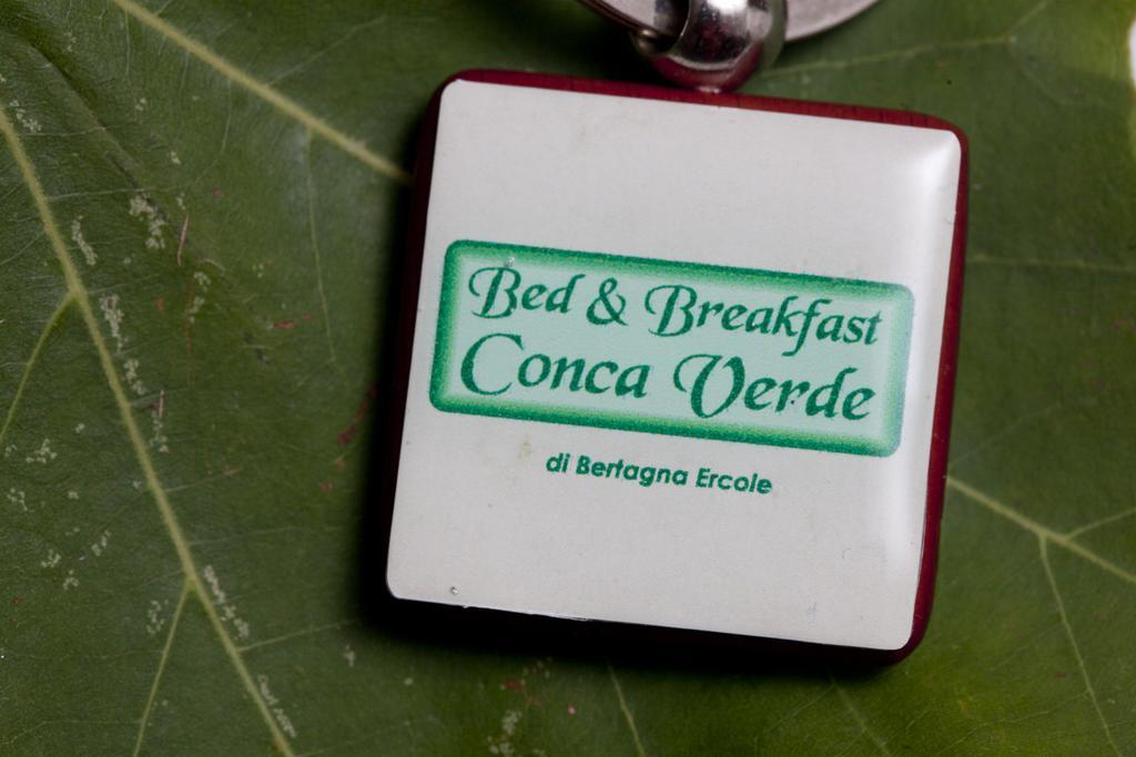 Bed & Breakfast Conca Verde Cavriana Exteriér fotografie